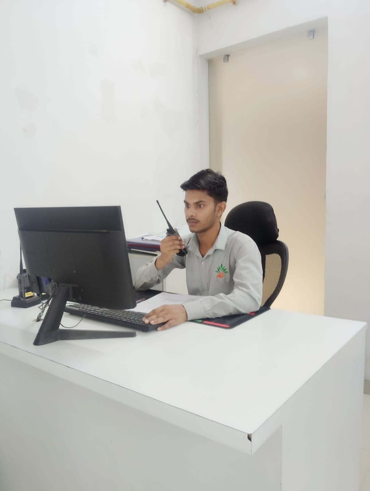 Building Soft Services