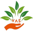 VAS Services